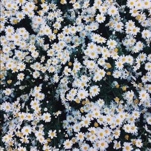 Meet your Posher, Claudia